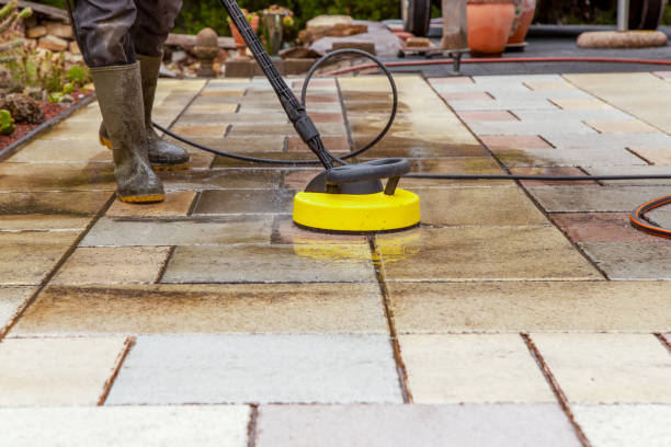 Animal Enclosure Cleaning in Benbrook, TX